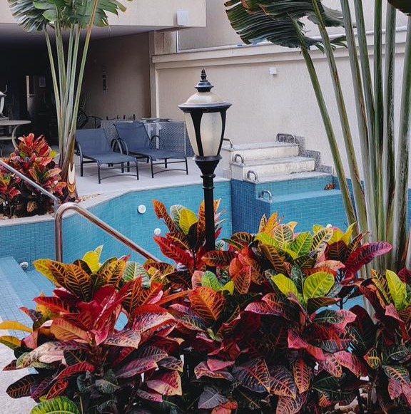 Projeto de Paisagismo