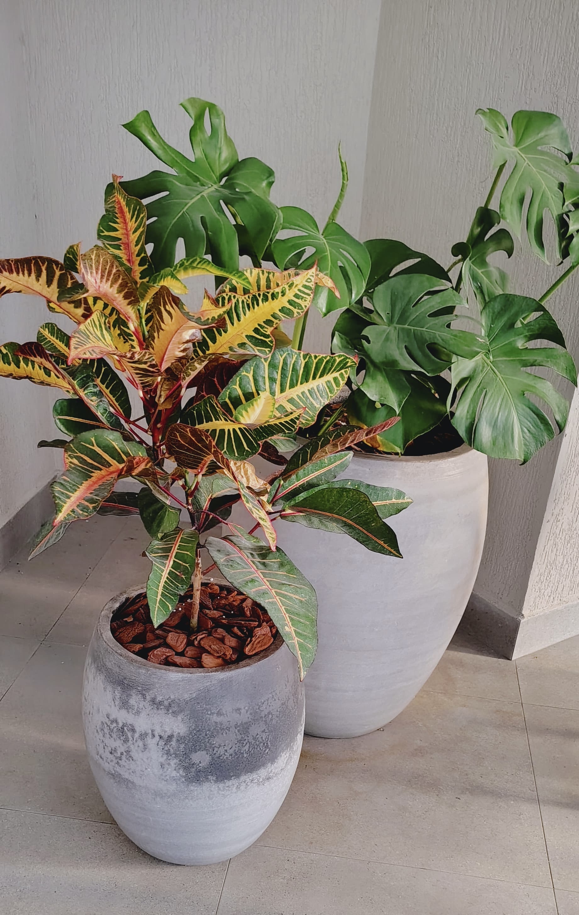 Manutenção de Jardim